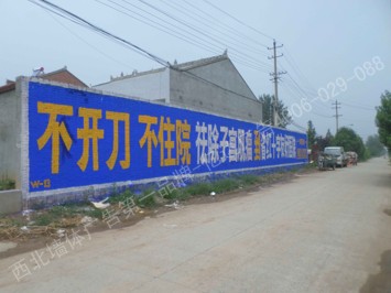红十字医院手绘低墙墙体广告